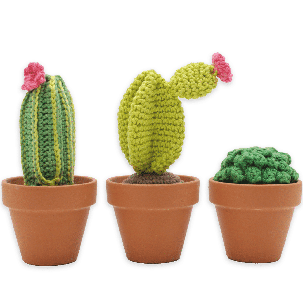 Hardicraft Crochet Kits - CACTI SET