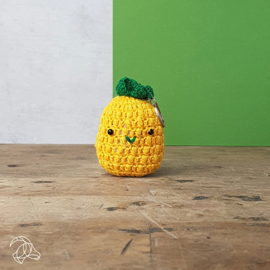 Hardicraft Crochet Kits - BAG HANGER PINEAPPLE