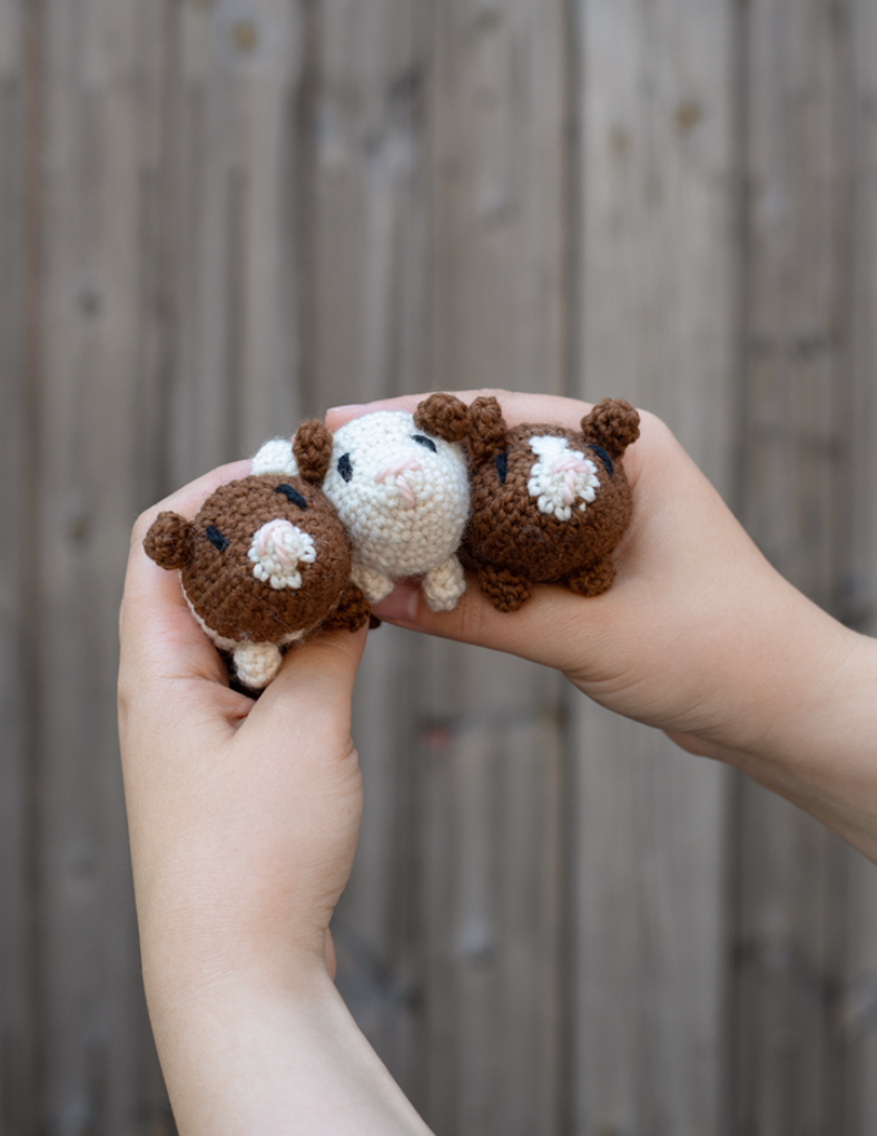 **NEW** TOFT Mini Guinea Pigs Kit