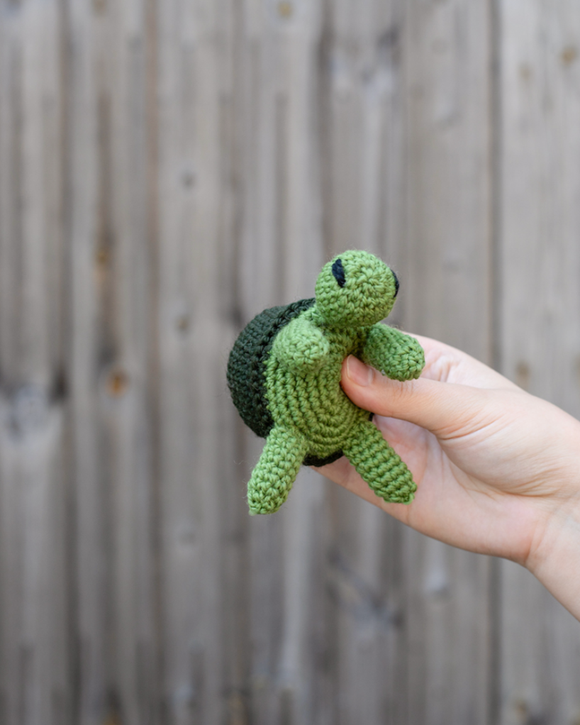 **NEW** TOFT Mini Tortoises Kit