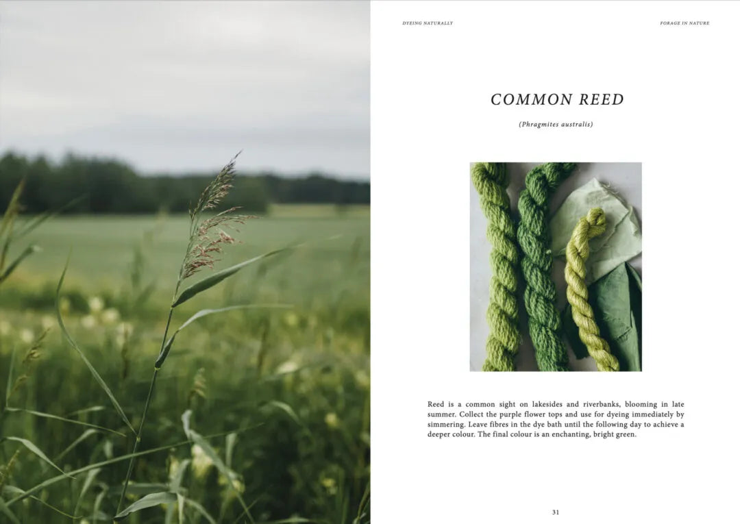 **NEW** Dyeing Naturally by Emma Kylmälä