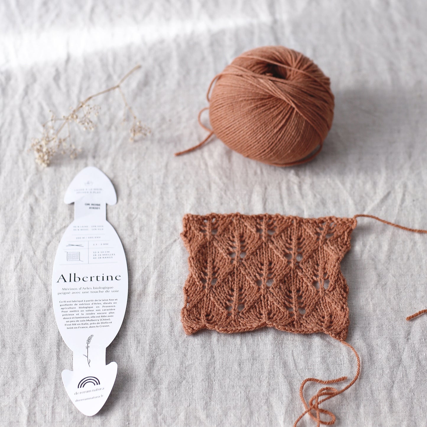 De Rerum Natura Albertine