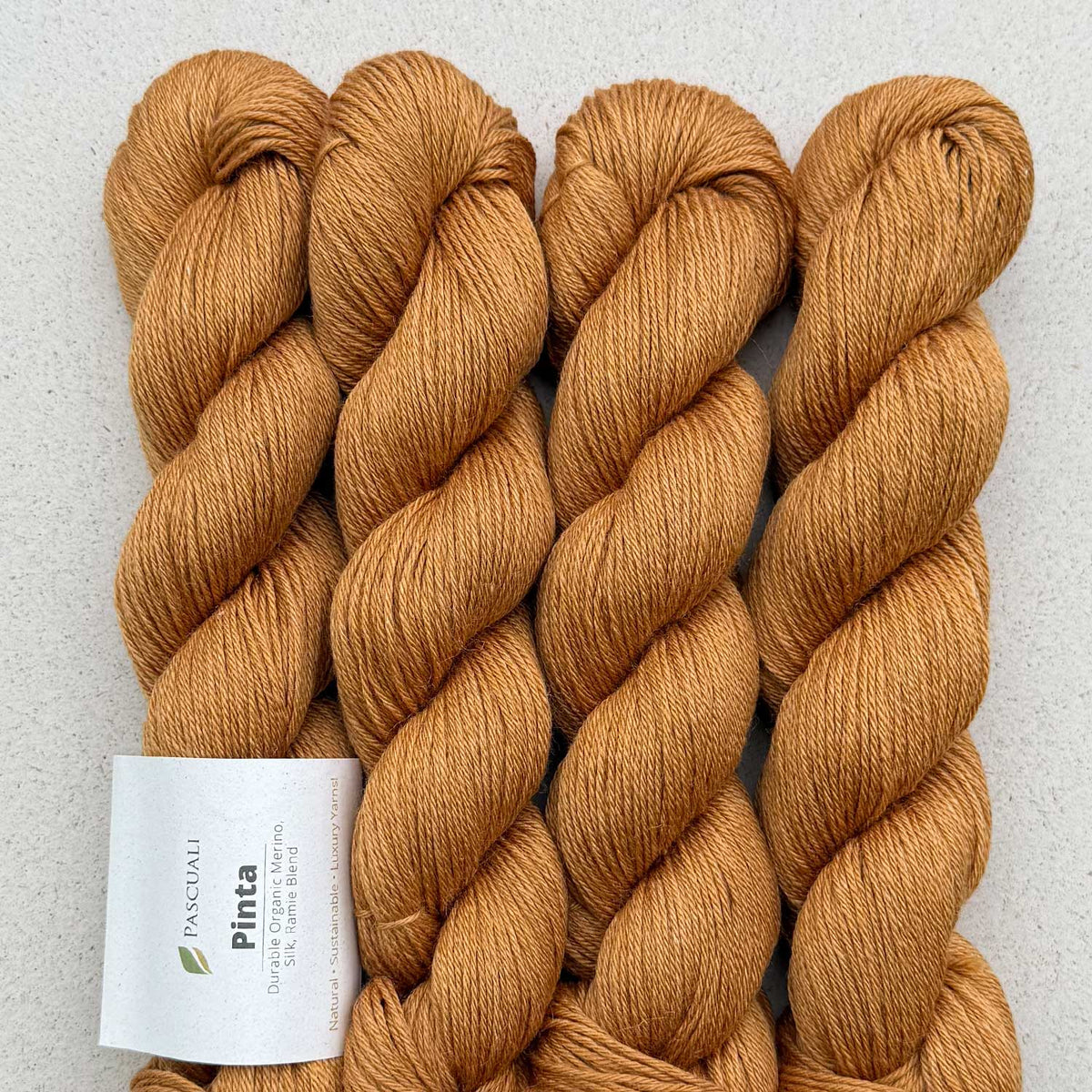 **NEW** Pascuali Pinta