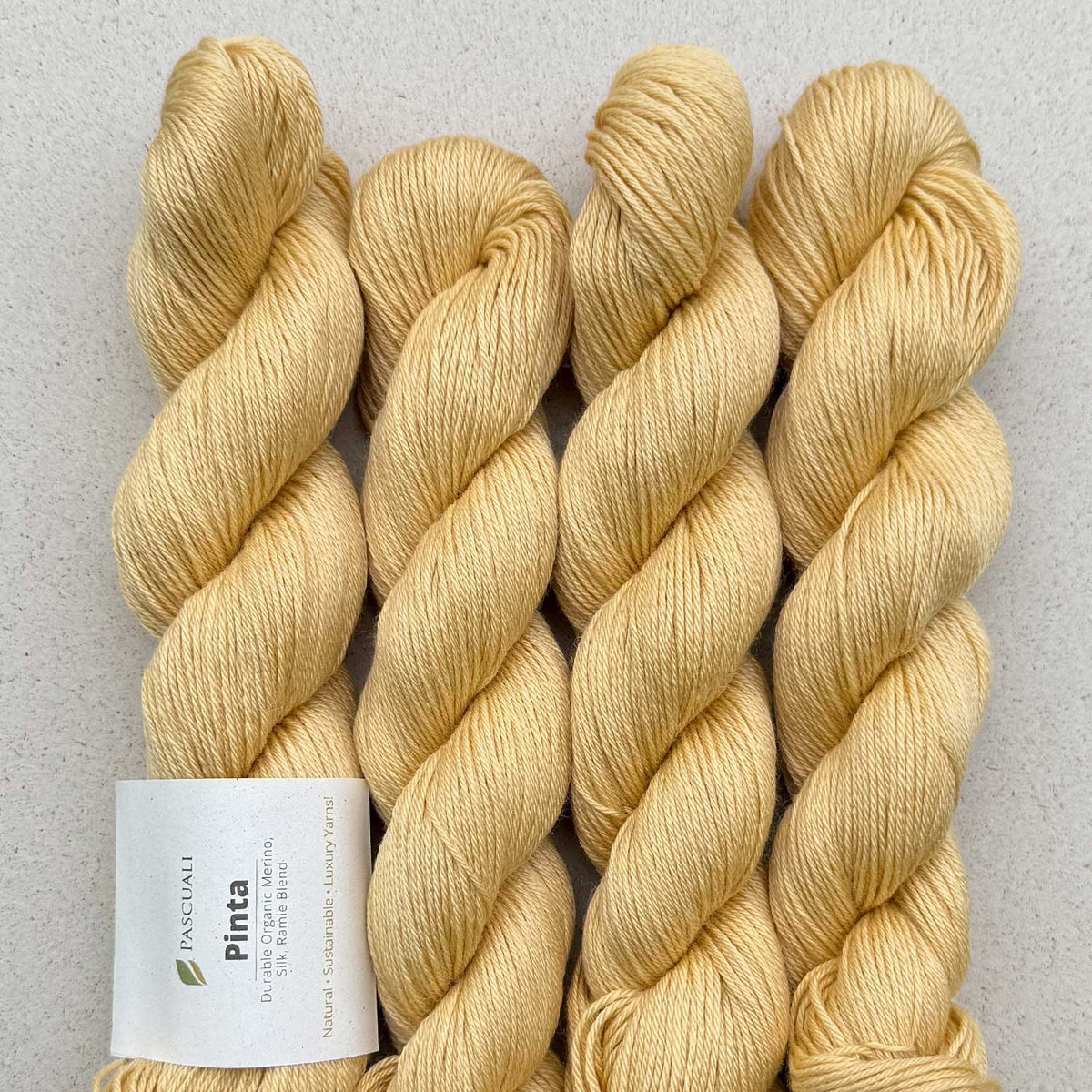 **NEW** Pascuali Pinta