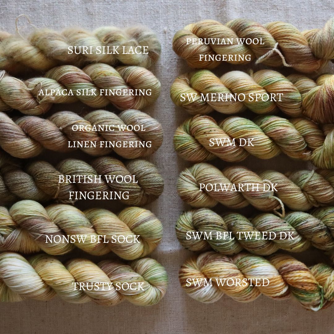 Big Little Yarn Co - Polwarth DK