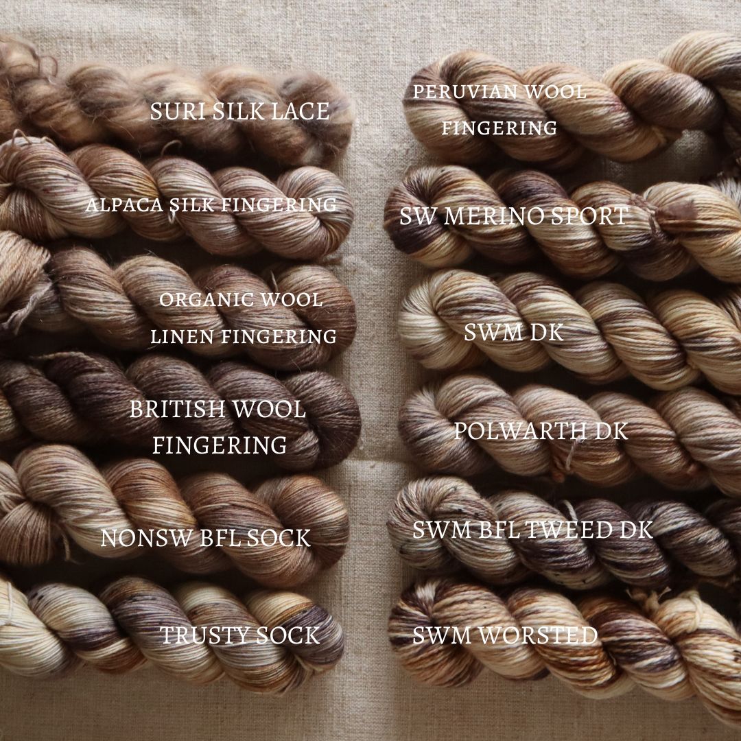 Big Little Yarn Co - Polwarth DK