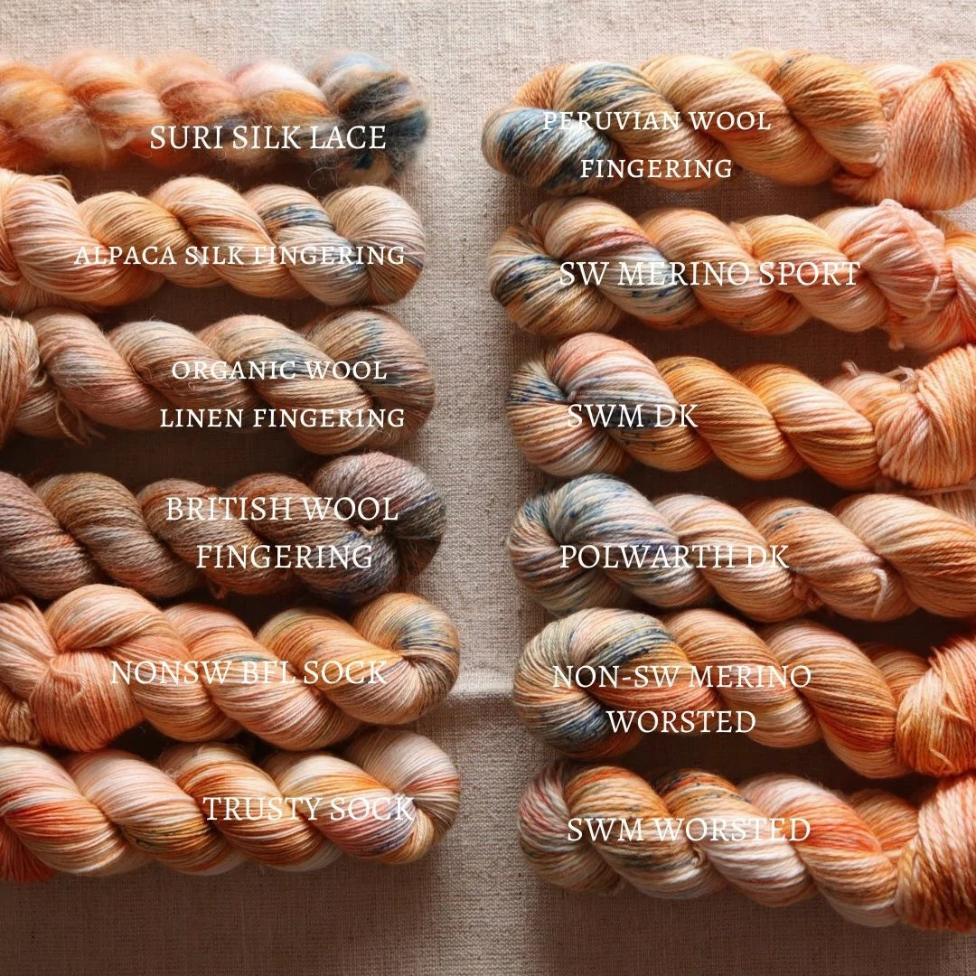 Big Little Yarn Co - Polwarth DK