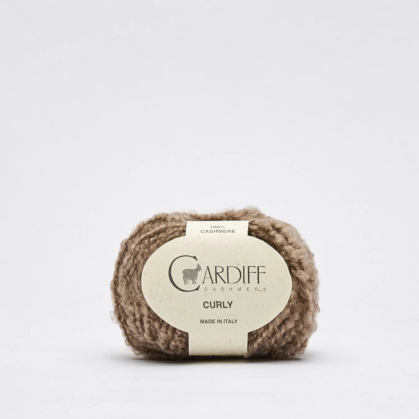 **NEW** Cardiff Cashmere Curly Yarn