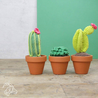 Hardicraft Crochet Kits -  CACTI SET