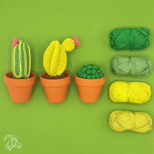 Load image into Gallery viewer, Hardicraft Crochet Kits -  CACTI SET