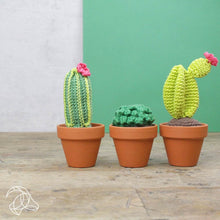 Load image into Gallery viewer, Hardicraft Crochet Kits -  CACTI SET