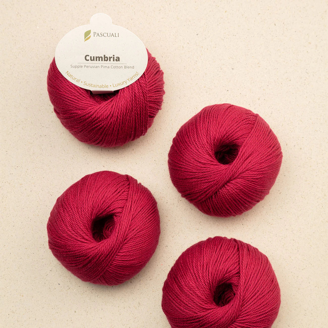 **NEW** Pascuali Cumbria