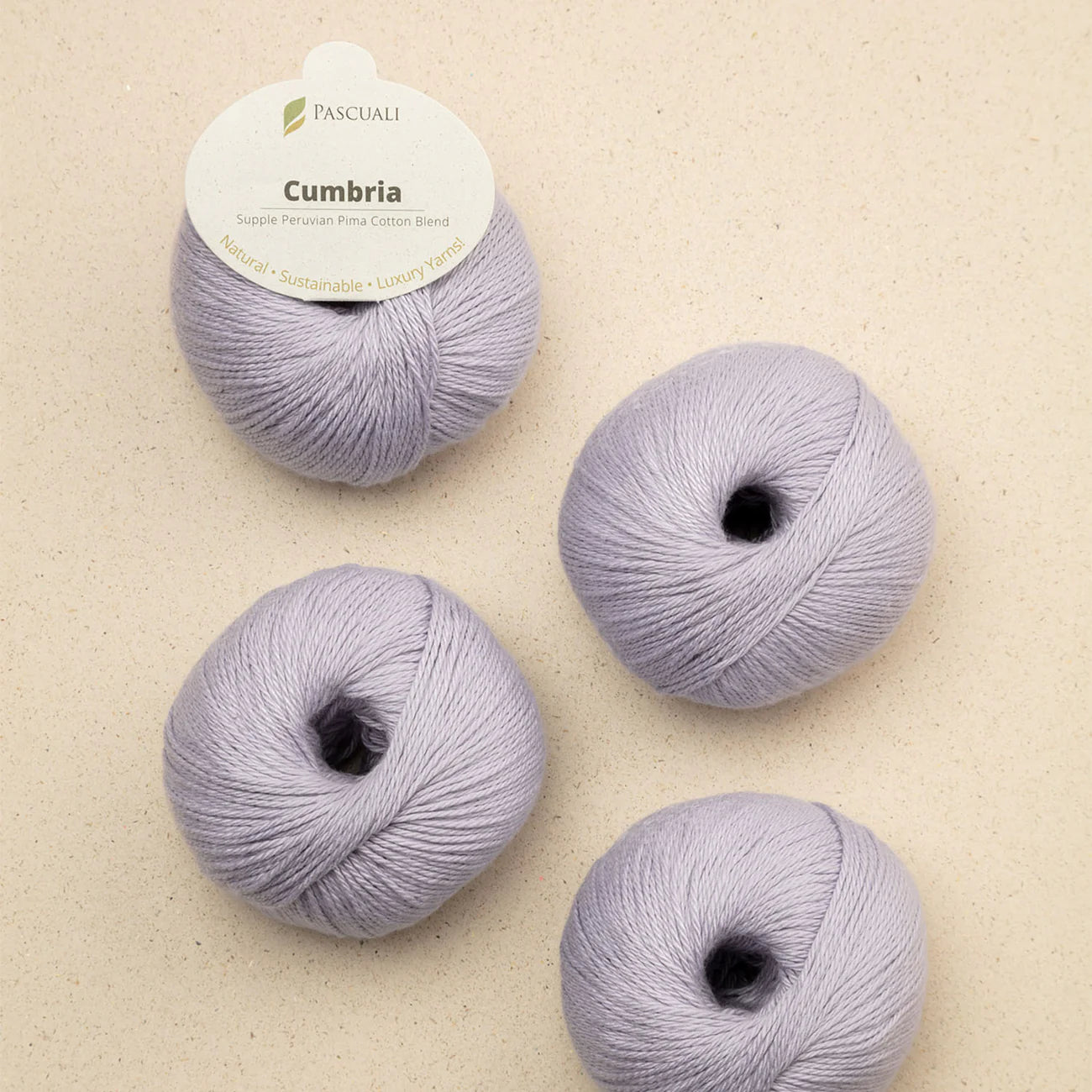 **NEW** Pascuali Cumbria