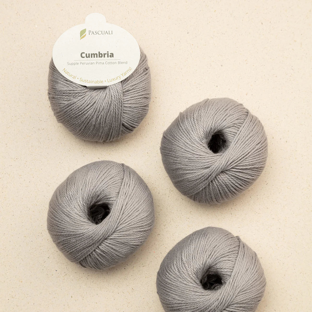 **NEW** Pascuali Cumbria