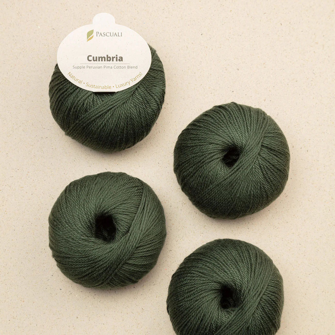 **NEW** Pascuali Cumbria