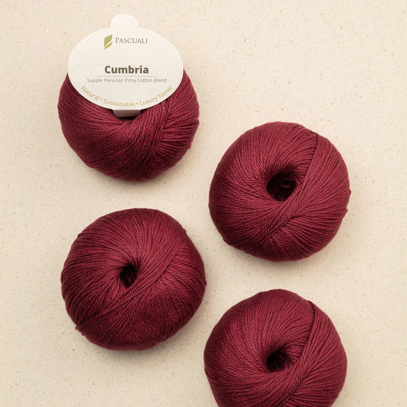 **NEW** Pascuali Cumbria