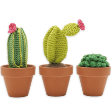 Load image into Gallery viewer, Hardicraft Crochet Kits -  CACTI SET
