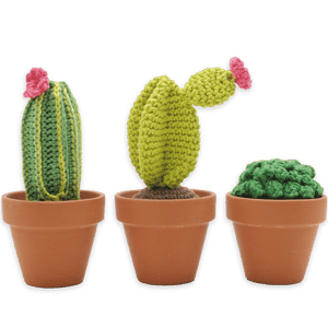 Hardicraft Crochet Kits -  CACTI SET