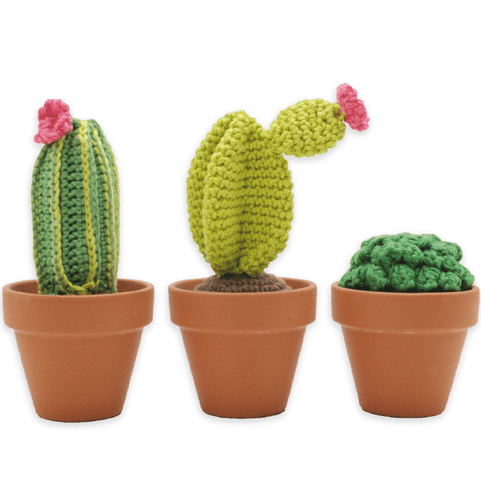Hardicraft Crochet Kits -  CACTI SET