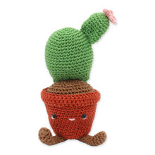 Load image into Gallery viewer, Hardicraft Crochet Kits -  OPUNTIA CACTUS (Copy)
