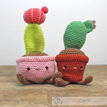 Load image into Gallery viewer, Hardicraft Crochet Kits -  OPUNTIA CACTUS (Copy)