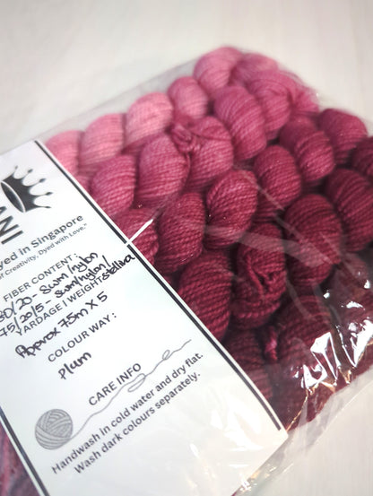Nirani Luxe Yarns Hand Dyed Mini Sets (5 minis)