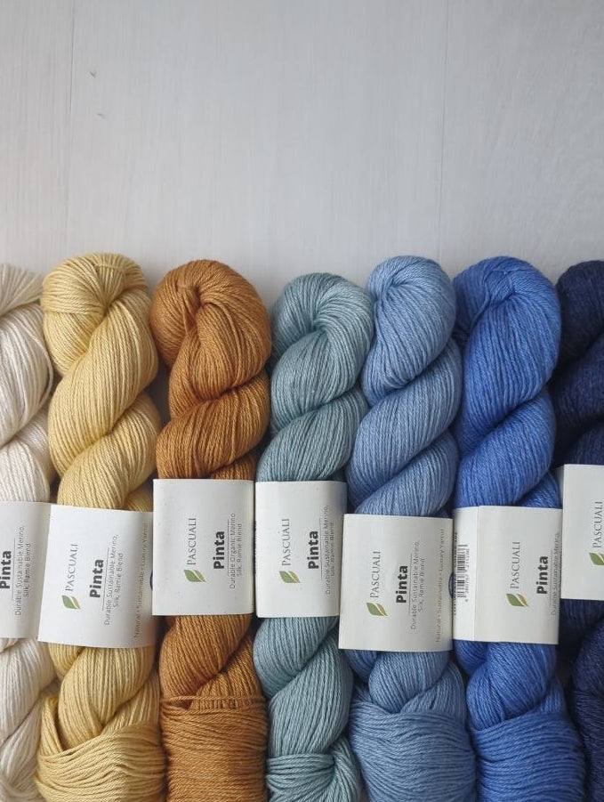 Six skeins of yarn in a gradient of colors from cream and yellow to light blue and dark navy, arranged side-by-side on a light gray wooden background. Each skein has a white paper label with the brand name 'Petta'.