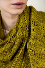 Load image into Gallery viewer, Textured Knits by Paula Pereira