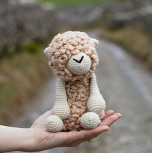 Load image into Gallery viewer, TOFT Everett the Romney Sheep Kit