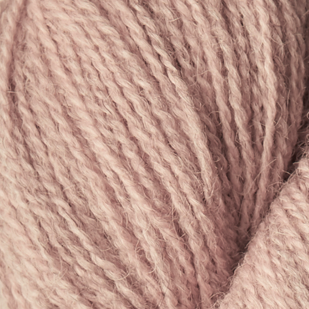 **NEW** ISAGER Alpaca 2
