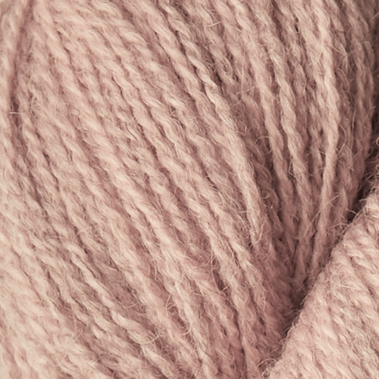 **NEW** ISAGER Alpaca 2