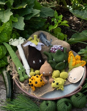 Load image into Gallery viewer, TOFT Vegetables: Alexandra&#39;s Garden Book by Kerry Lord