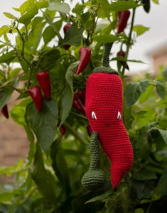 TOFT Vegetables: Alexandra's Garden Book by Kerry Lord