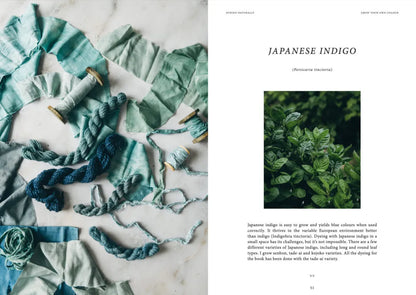 **NEW** Dyeing Naturally by Emma Kylmälä