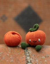 Load image into Gallery viewer, TOFT Munchkin Pumpkin Kit