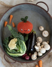 Load image into Gallery viewer, TOFT Munchkin Pumpkin Kit