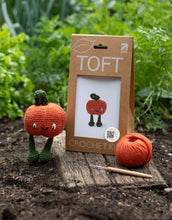 Load image into Gallery viewer, TOFT Munchkin Pumpkin Kit