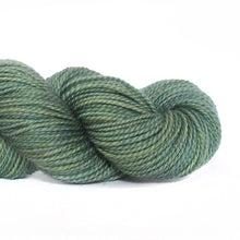 Load image into Gallery viewer, Nurturing Fibres SuperTwist Merino - Sock Weight