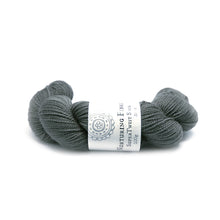 Load image into Gallery viewer, Nurturing Fibres SuperTwist Merino - Sock Weight
