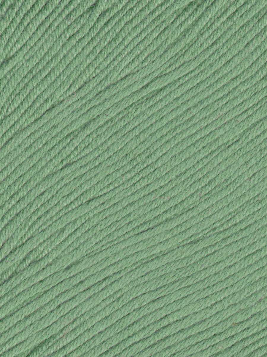 Ella Rae Eco Organic Cotton