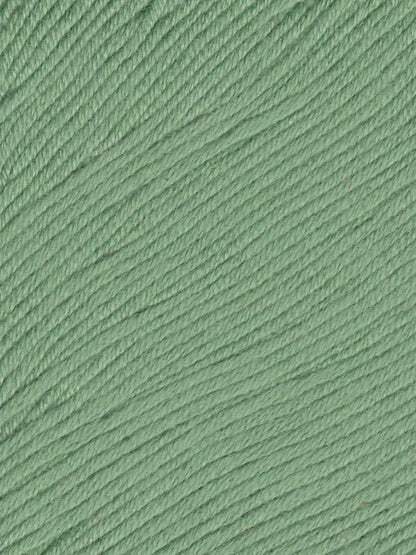 Ella Rae Eco Organic Cotton