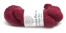 Load image into Gallery viewer, Nurturing Fibres SuperTwist Merino - Sock Weight
