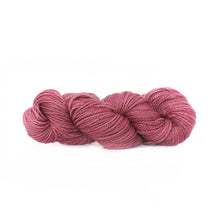 Load image into Gallery viewer, Nurturing Fibres SuperTwist Merino - Sock Weight