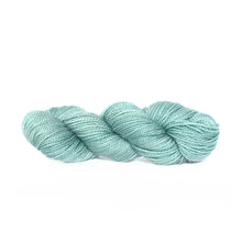 Load image into Gallery viewer, Nurturing Fibres SuperTwist Merino - Sock Weight