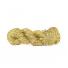 Load image into Gallery viewer, Nurturing Fibres SuperTwist Merino - Sock Weight