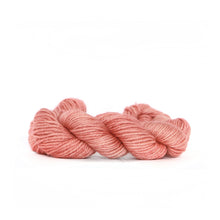 Load image into Gallery viewer, Nurturing Fibres SuperTwist Merino - DK Weight