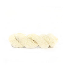 Load image into Gallery viewer, Nurturing Fibres SuperTwist Merino - DK Weight